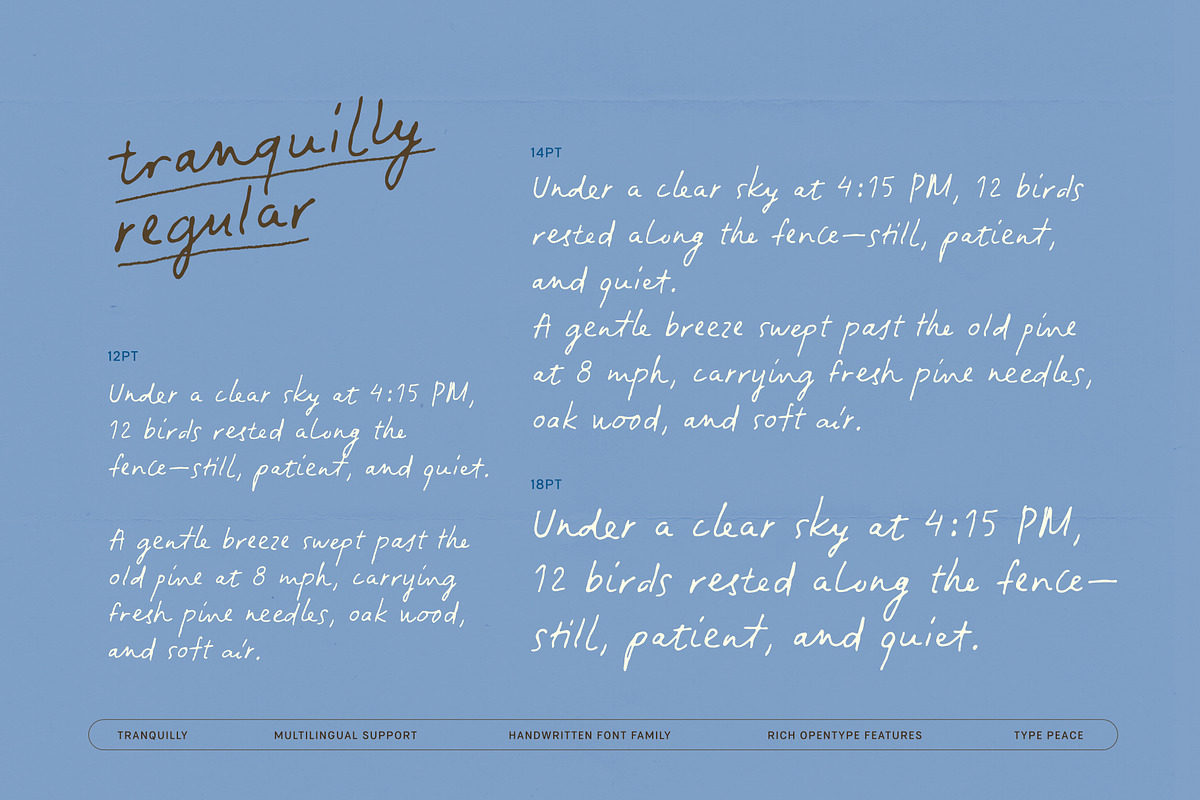 Tranquilly | Handwritten Font, a Handwritten Font by type peace (Photo 10 of 19)