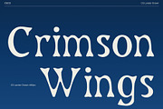 CS Lander Drawn, a Sans Serif Font by Craft Supply Co. (Thumbnail 2 of 8)