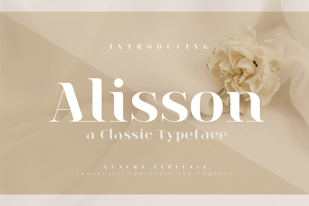 Alisson, a Serif Font by geengraphy (Photo 1 of 3)
