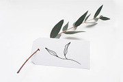 Peony flower collection, an Illustration by Maria's little shop (Thumbnail 4 of 7)