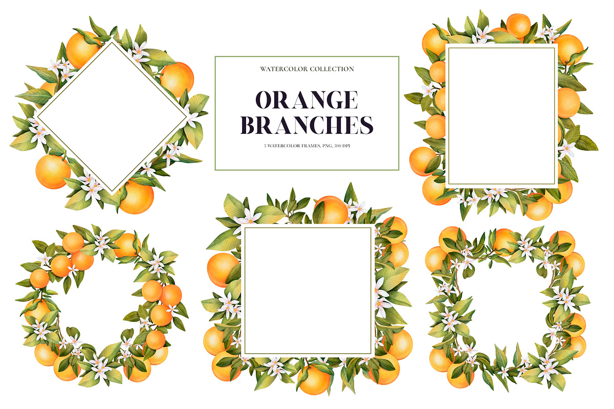 Orange Branches. Watrecolor PNG, an Illustration by OlyaGutArt (Photo 4 of 6)