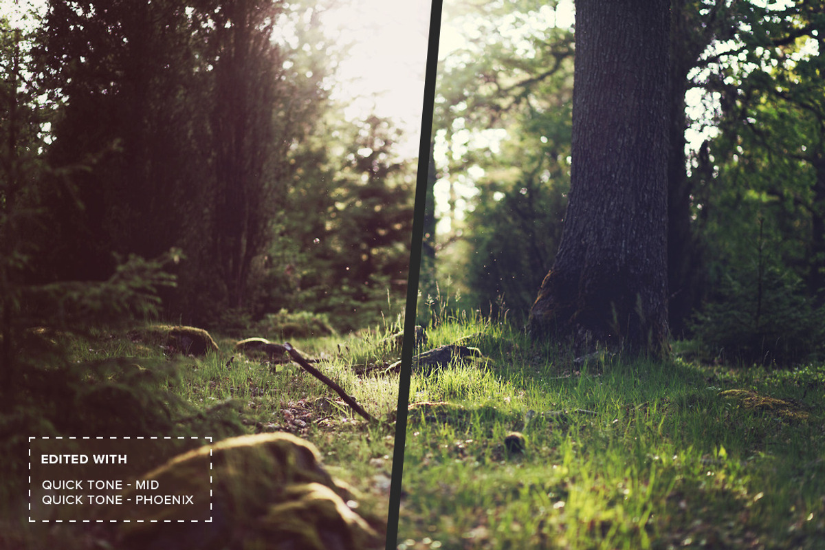 QuickTone - Suble Photoshop Actions, an Action Add-On by FilterGrade (Photo 4 of 5)
