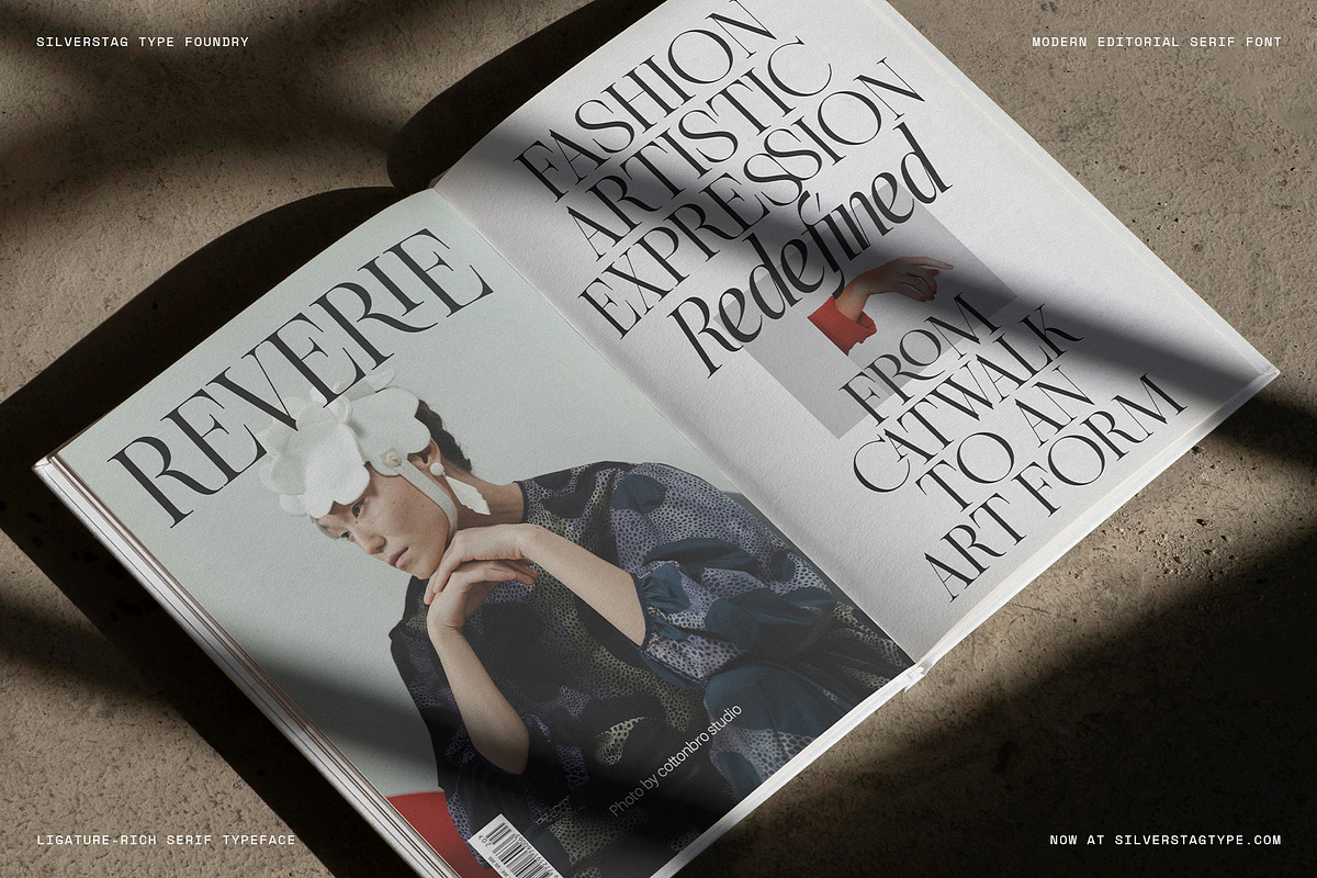 The Elfkin Editorial - Modern Serif, a Serif Font by SilverStag Type Foundry (Photo 12 of 20)