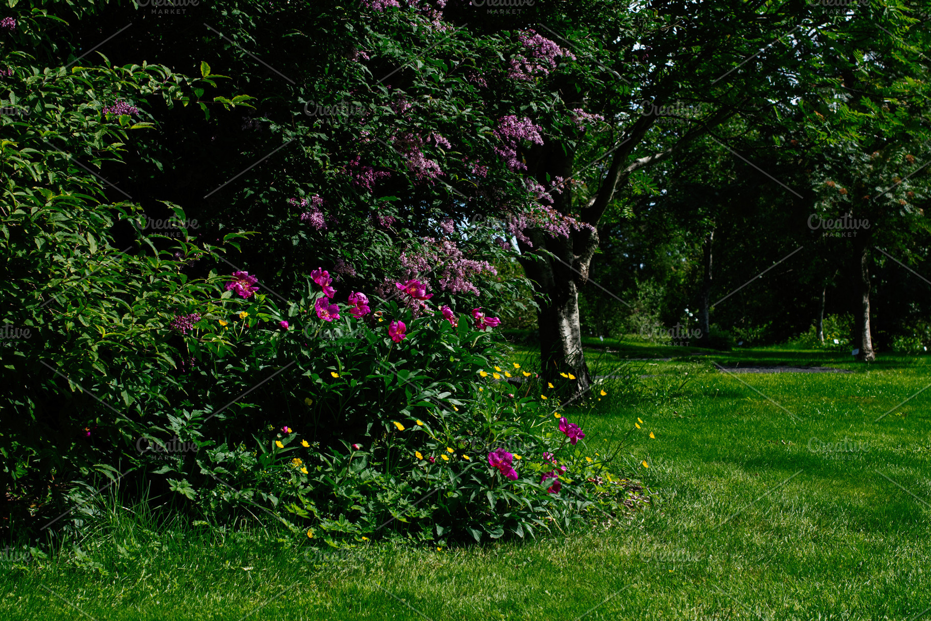 Picturesque garden in Reykjavik, Iceland with vibrant flowers and lush greenery, a Photo by AS photostudio