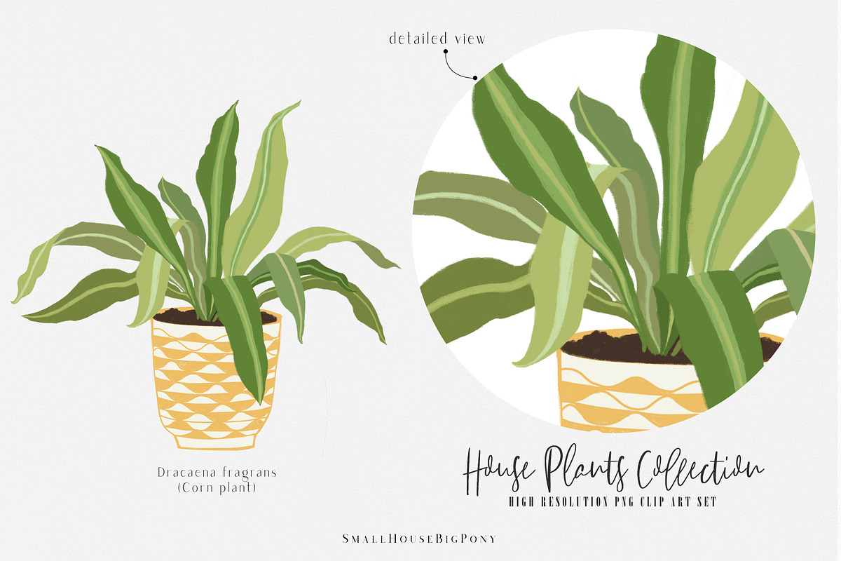 House Plants Collection, a Graphic by SmallHouseBigPony (Photo 10 of 18)