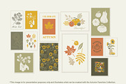 Autumn Thanksgiving Harvest Clipart, a Decorative Illustration by Wild and Wonder by Ana (Thumbnail 12 of 13)
