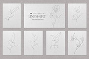 Minimalist Botanical Line Sketches, an Illustration by Ahsanjaya (Thumbnail 1 of 3)