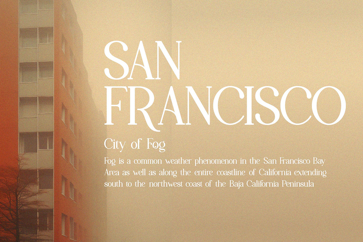 Papolina | Modern Serif Font, a Serif Font by Denustudios (Photo 6 of 13)