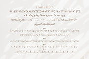 Dellanor Script - A Wedding Font, a Script Font by Ainun Jinan (Thumbnail 8 of 10)