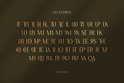 Rochestra Serif Typeface, a Serif Font by Letterhend Studio (Thumbnail 4 of 9)