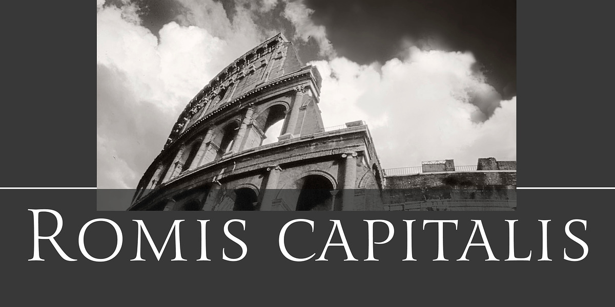 Romis, a Serif Font by Finaltype (Photo 15 of 22)