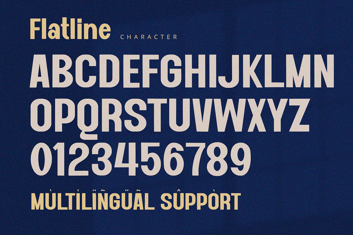 Flatline - Display Sans, a Slab Serif Font by Alpaprana (Photo 9 of 11)