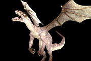 Flying dragon, an Object Graphic by FlyOk (Thumbnail 1 of 3)