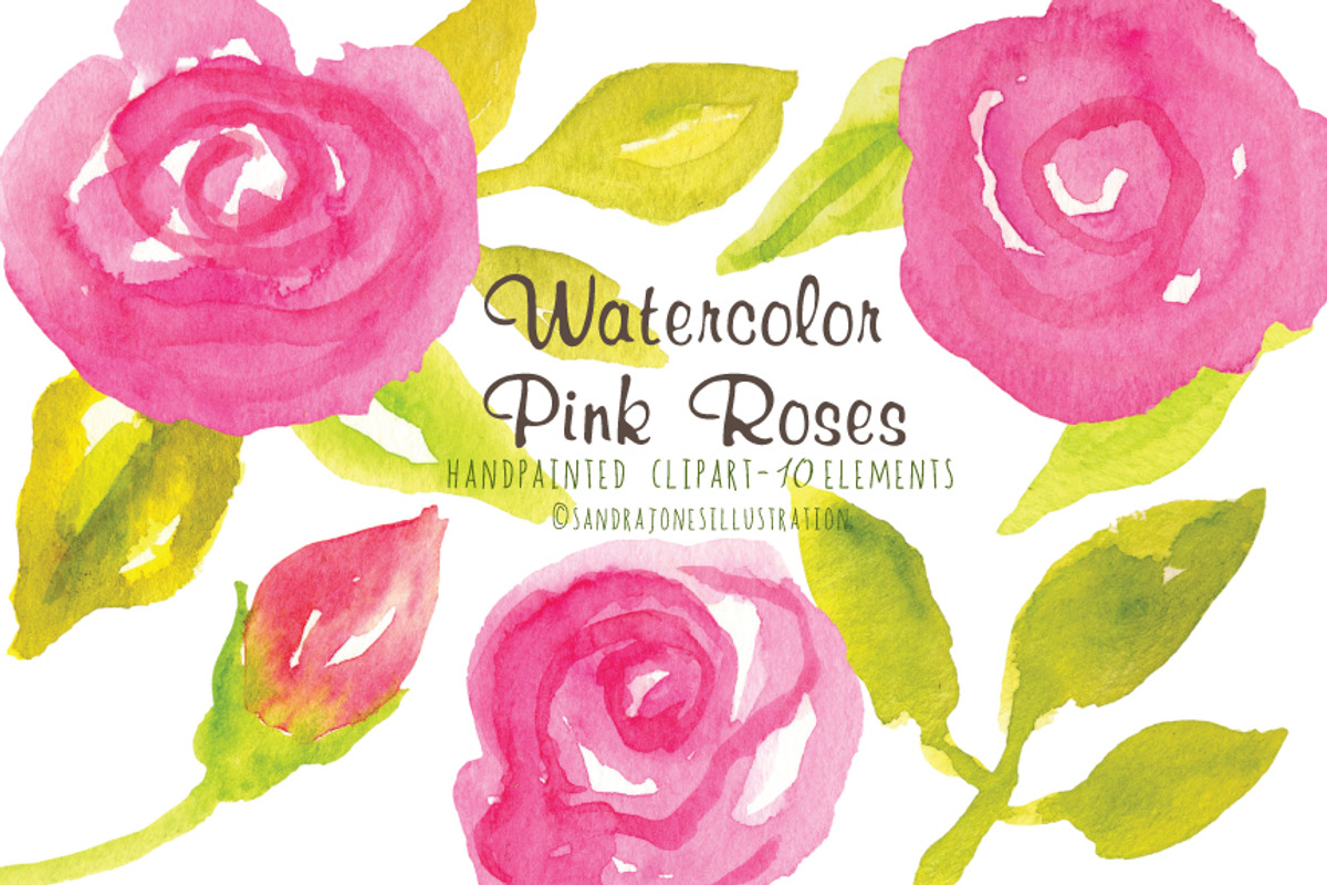 Watercolor Pink Roses, an Illustration by Sandra Jones Art (Photo 1 of 4)