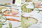 Watercolor Life Cycle Bundle 2, an Education Illustration by MayaNavits (Thumbnail 10 of 14)