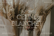Rustic Summer Paradise Font Family, a Sans Serif Font by SilverStag Type Foundry (Thumbnail 2 of 9)