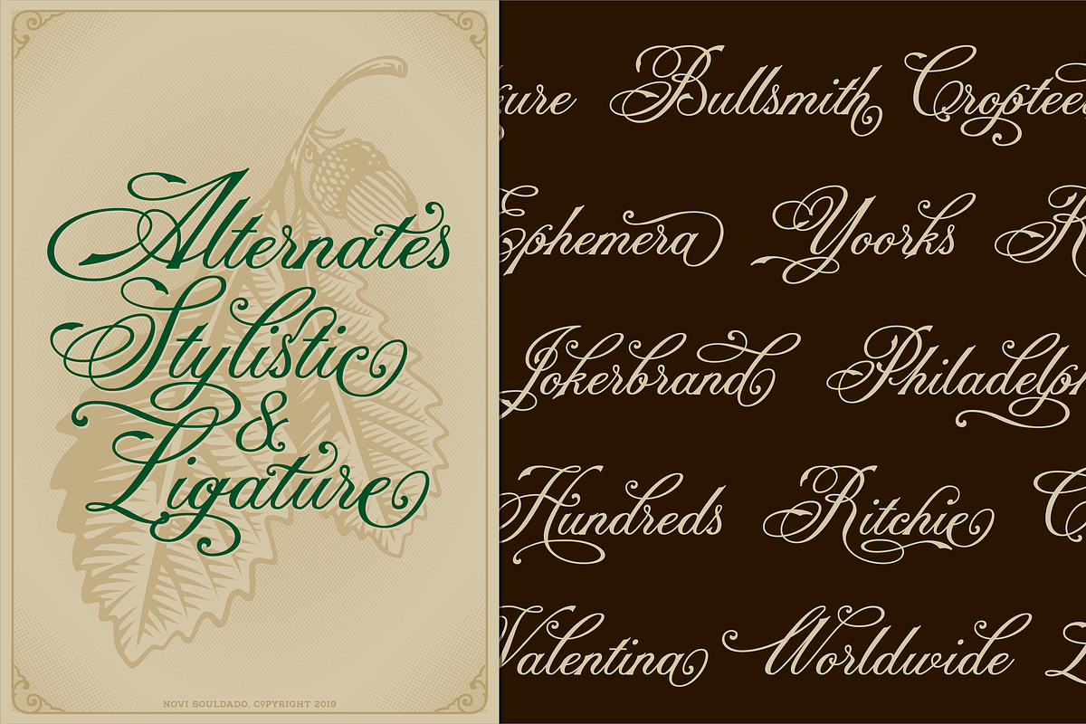 NS CHAMPTONE Fonts Collection preview 5
