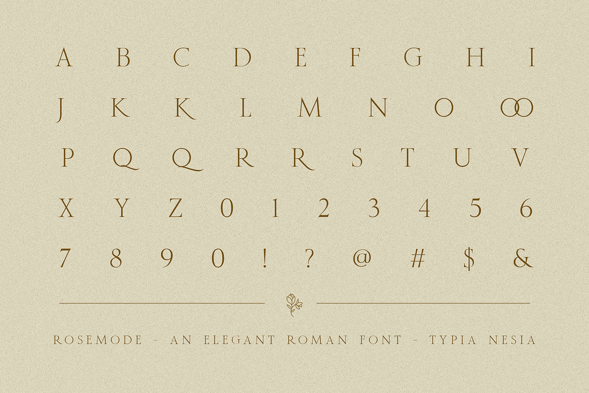 Rosemode - Roman Serif, a Serif Font by Typia Nesia (Photo 13 of 14)