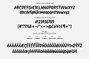 Donsky | Brush Font, a Handwritten Font by Lemonthe (Thumbnail 6 of 6)