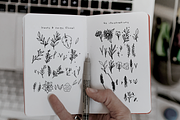 Leaves and Twigs font trio & extras, a Script Font by Ana's Fonts (Thumbnail 7 of 17)