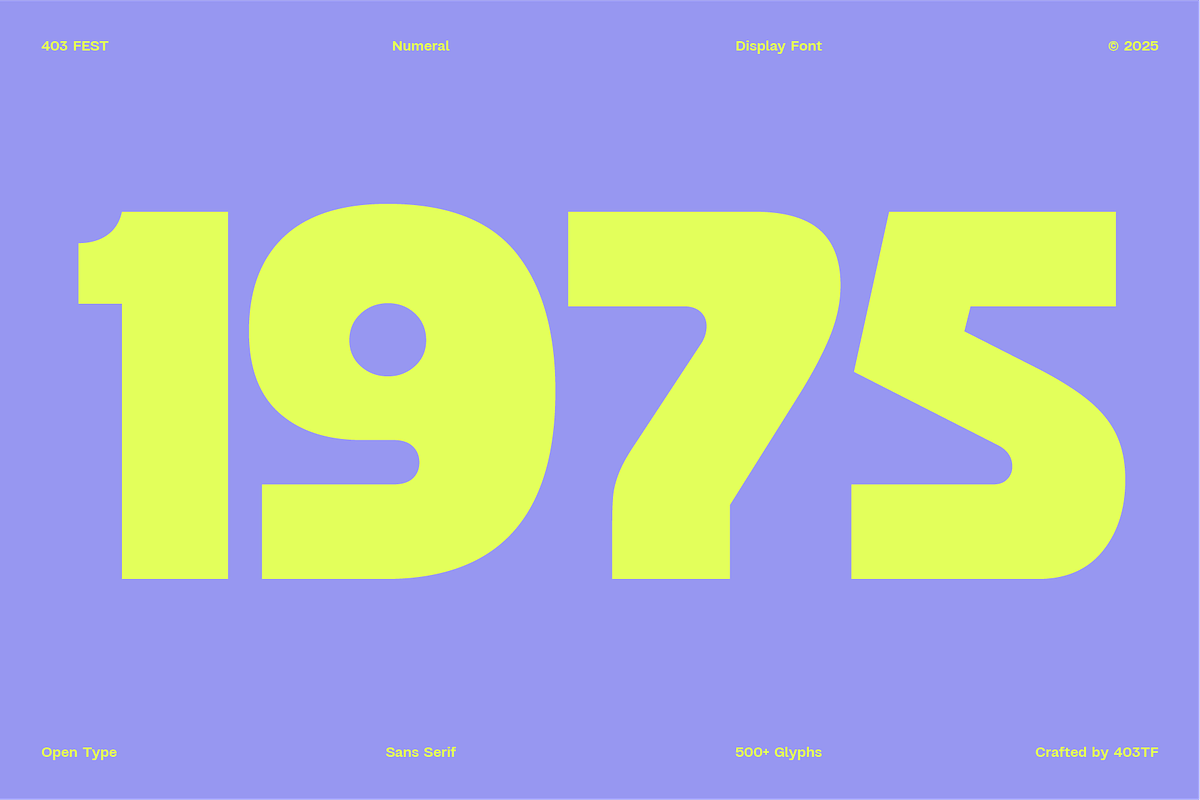 403 FEST, a Sans Serif Font by 403 Type Foundry (Photo 4 of 16)