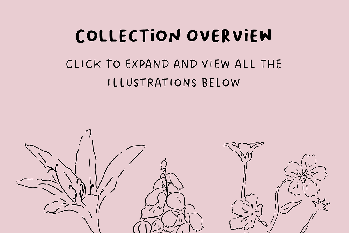 Wildflower Ink Atelier, a Decorative Illustration by The Journey Atelier (Photo 3 of 19)