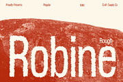 Robine Rough, a Sans Serif Font by Craft Supply Co. (Thumbnail 1 of 8)