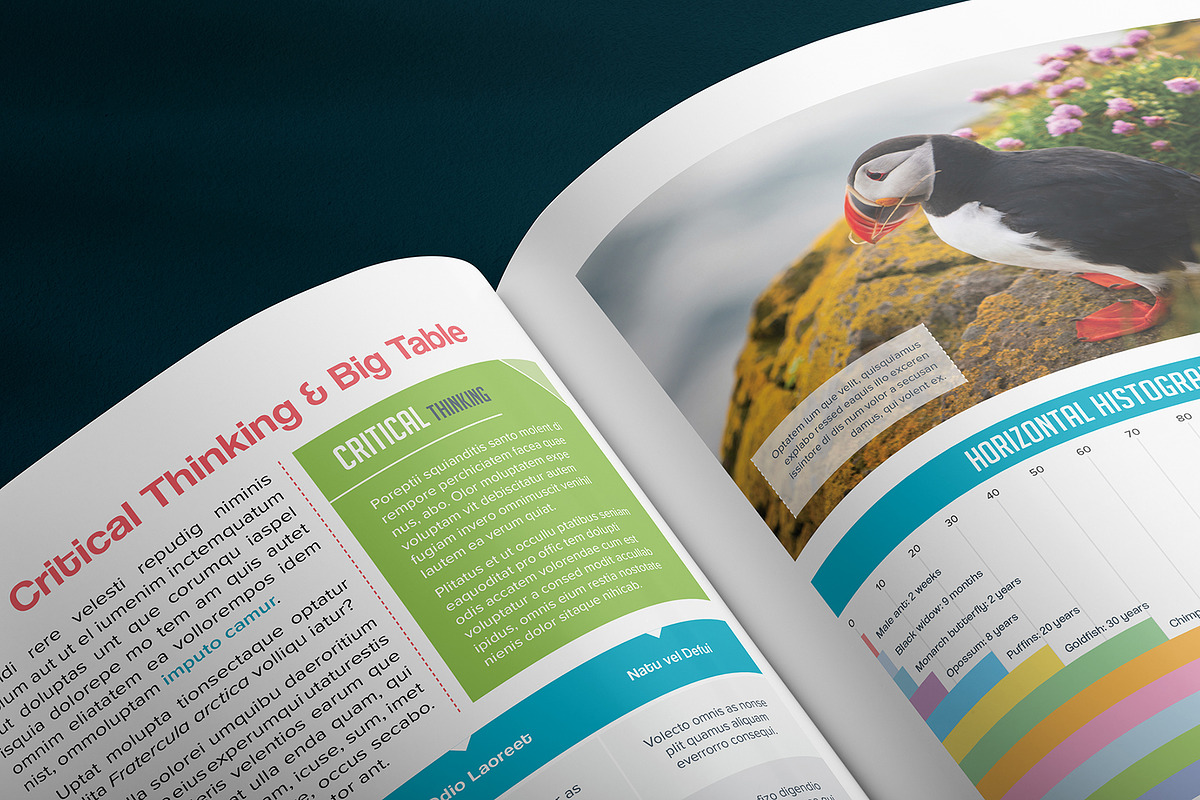 Science Textbook Template 4.0 A4, a Magazine Template by fisihsani (Photo 4 of 9)