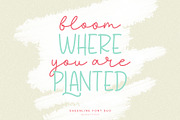 Sheenline - Cute Monoline Font Duo, a Script Font by Beautypes (Thumbnail 3 of 9)