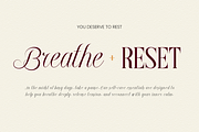 Georgia Praline - Serif Font Duo, a Serif Font by Font Liner (Thumbnail 2 of 12)
