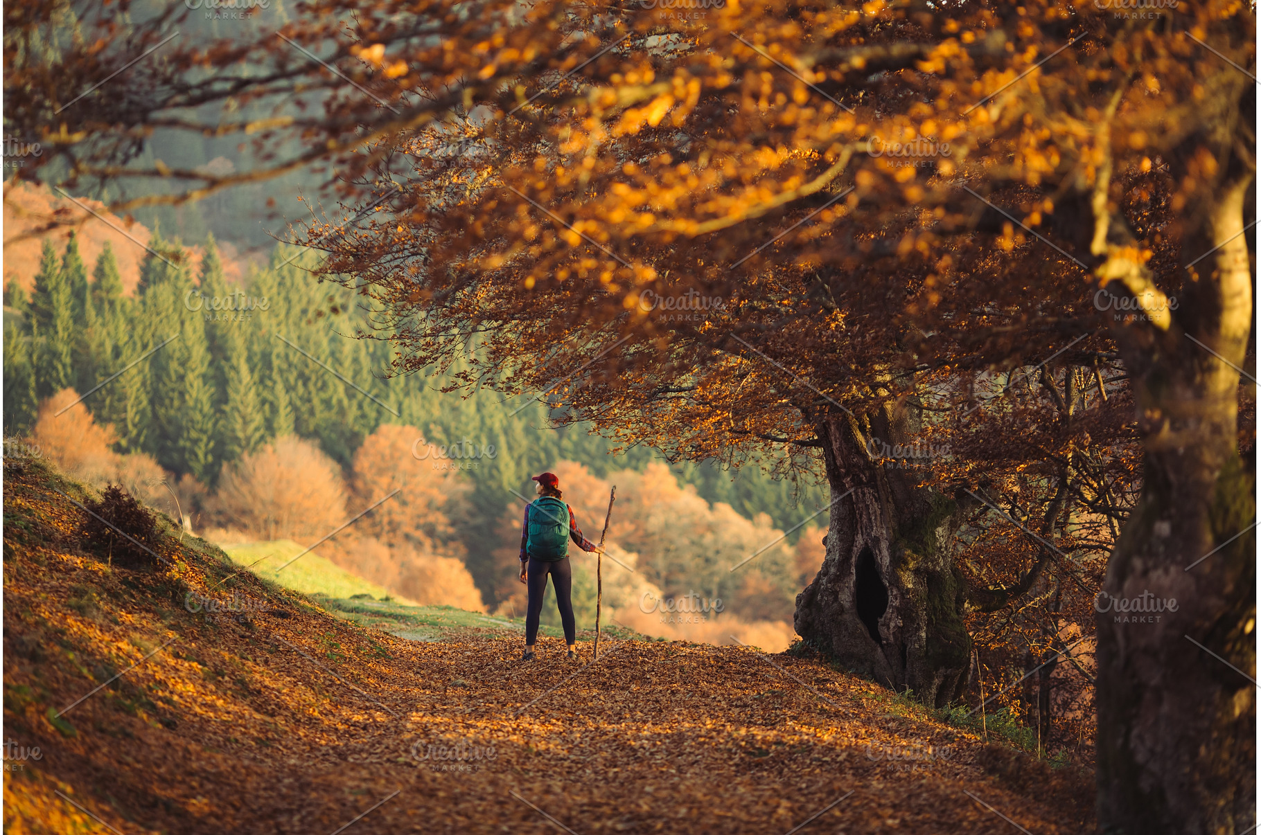 Female Hiker on Country Road Near, a Person Photo by Emotion photo