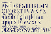 Experience Compassion - Modern Font, a Serif Font by 177Studio (Thumbnail 8 of 8)