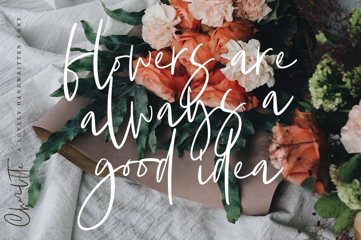 Charlotte | Handwritten Font preview 3