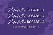 Rosabelia - Script & Sans Serif, a Script Font by Solidtype (Thumbnail 2 of 11)