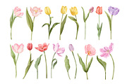 Watercolor Tulips Clipart, a Decorative Illustration by ArtGiftsStudio (Thumbnail 3 of 6)