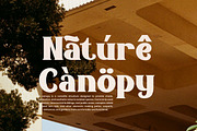 Murillino – Retro Serif Font, a Serif Font by Flawless And Co (Thumbnail 7 of 10)