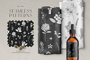 Black Herbs. Vector Set, an Object Graphic by PatrushevaYana (Thumbnail 4 of 6)