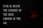 Darvine – Serif Font, a Serif Font by Craft Supply Co. (Thumbnail 7 of 8)
