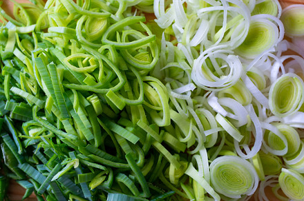 Fresh green onions