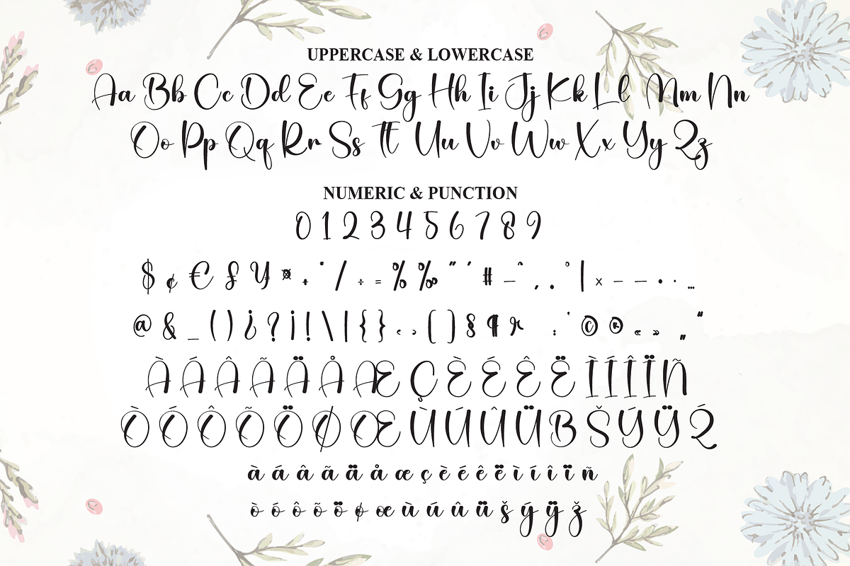 Delicate | Script Font, a Handwritten Font by Scratchones (Photo 7 of 8)