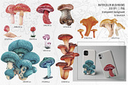 Mashrooms & Herbs Clipart, an Illustration by BalanceUA (Thumbnail 2 of 10)