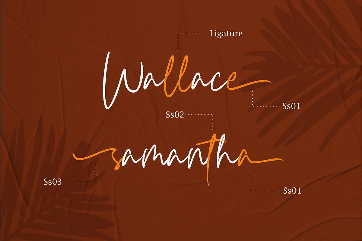 Carnollia Signature preview 2
