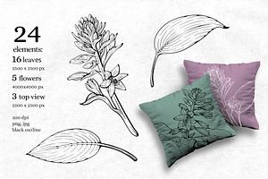 Hand Drawn Flowers. Elegant Line Art