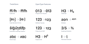 Trada Sans, a Sans Serif Font by Hoftype (Thumbnail 12 of 14)