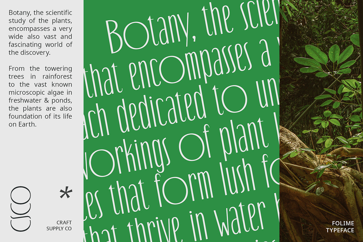 Folime – Condensed Sans Serif, a Sans Serif Font by Craft Supply Co. (Photo 2 of 8)