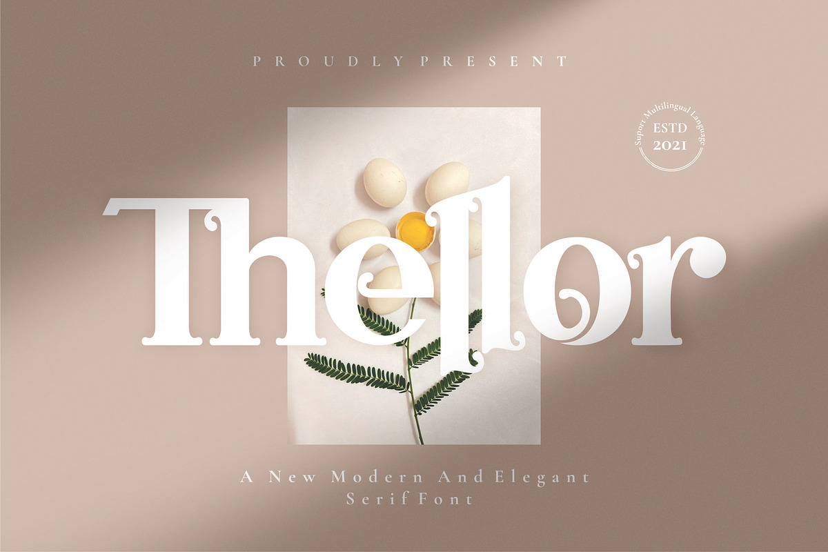 Thellor, a Serif Font by blunesia (Photo 1 of 8)