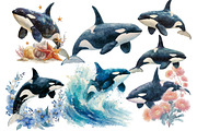 Watercolor Orca Clipart, an Illustration by Designworld (Thumbnail 4 of 6)