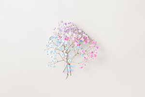 Delicate pastel flowers from floral, a Nature Photo by Edalin's Store