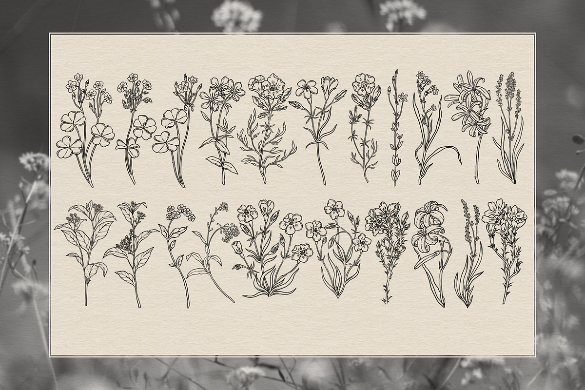 Floral Line Art Collection, a Decorative Illustration by heyXeni (Photo 11 of 12)