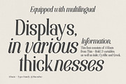 Elsain - Serif Font (16 Fonts), a Serif Font by Maculinc Type (Thumbnail 2 of 11)